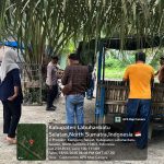 Gerebek Sarang Narkoba di Perkebunan Tolan, Polsek Kampung Rakyat Utamakan Pencegahan dan Edukasi