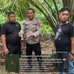 Polsek Kampung Rakyat Grebek Sarang Narkoba di Perlabian Dalam, Bandar Kocar Kacir