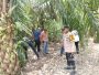 IMG 20260308 WA0010