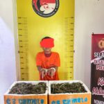 Di Bawah Komando AKP Sahat M Lumban Gaol, Satresnarkoba Polres Labusel Bongkar Peredaran Ganja Seberat 13,7 Kg