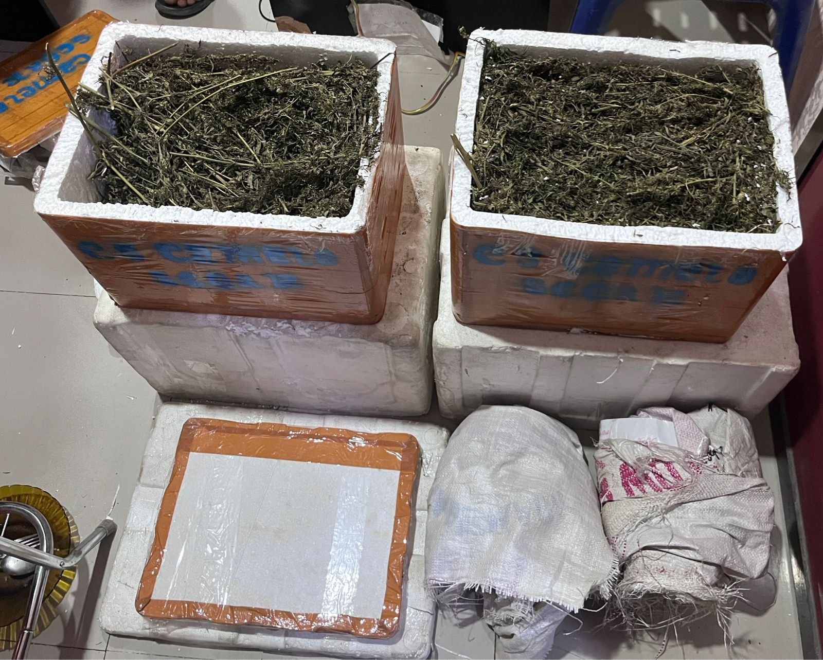 Di Bawah Komando AKP Sahat M Lumban Gaol, Satresnarkoba Polres Labusel Bongkar Peredaran Ganja Seberat 13,7 Kg 1 Ganja