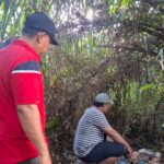 Polsek Bilah Hilir Gerebek Sarang Narkoba di Negeri Lama, Pondok Diduga Tempat Penyalahgunaan Sabu Dirobohkan