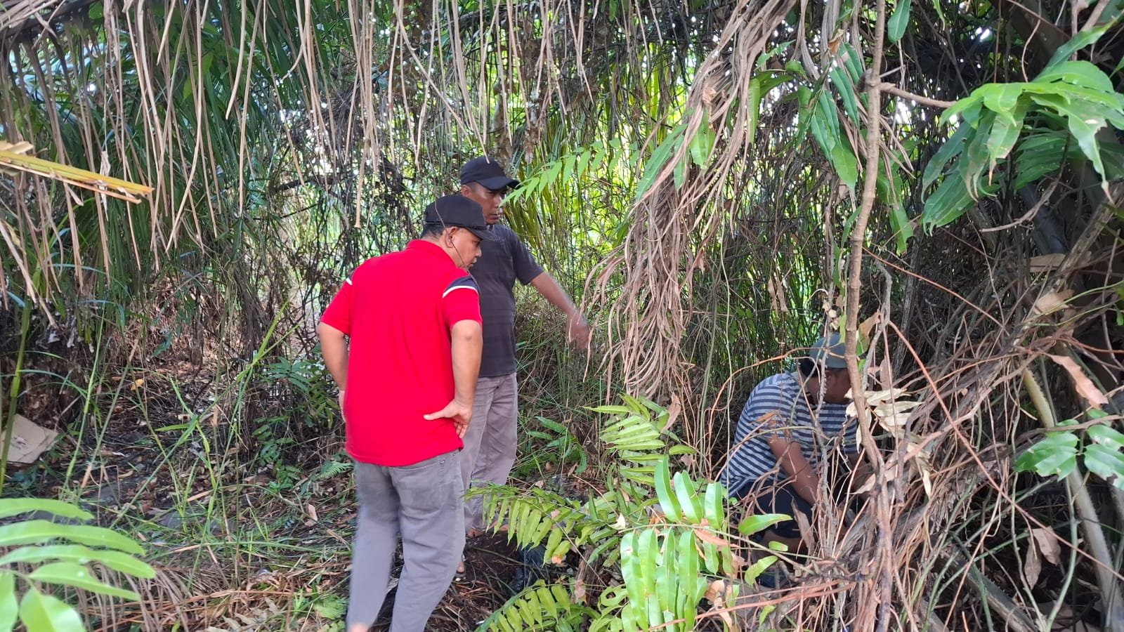 Polsek Bilah Hilir Gerebek Sarang Narkoba di Negeri Lama, Pondok Diduga Tempat Penyalahgunaan Sabu Dirobohkan 1 Polsek Bilah Hilir