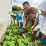 Inovasi Gema Sahabat Bunda Paud Membuahkan Hasil, Kadisdik Panen Hasil Ketahanan Pangan Bersama Guru Dan Siswa