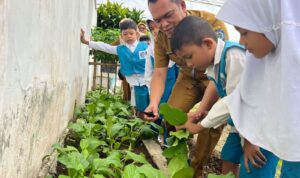 Inovasi Gema Sahabat Bunda Paud Membuahkan Hasil, Kadisdik Panen Hasil Ketahanan Pangan Bersama Guru Dan Siswa
