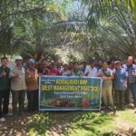 PT Socfindo Kebun Bangun Bandar Gelar Kegiatan BMP untuk Petani Mitra di Desa Dolok Sagala