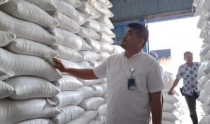 Cadangan Beras Pemerintah Tembus 5 Juta Ton, Stok di Labuhanbatu Dipastikan Aman Beras
