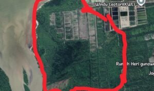 Warga Nenassiam Desak Penghentian Proyek di Hutan Lindung, Khawatir Picu Bencana Nenassiam