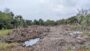 Hutan