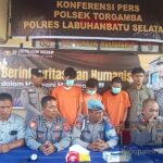 Polsek Torgamba Ungkap Pencurian Sawit, Tiga Pelaku Diamankan Bersama Barang Bukti
