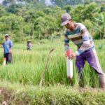Jangan Tunggu Bersengketa, Pasang Patok Tanah Sejak Dini  