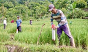 Jangan Tunggu Bersengketa, Pasang Patok Tanah Sejak Dini  