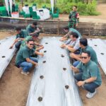 PT Socfindo Bangun Bandar Gelar Panen Perdana Melon dan Kangkung, Wujudkan Pekarangan Karyawan yang Produktif