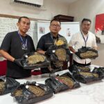 Jejak Daun Haram Berakhir di Tangan Satresnarkoba Polrestabes Medan, Lebih dari 9 Kg Ganja Disita