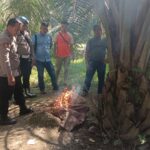 Tak Beri Ruang Bandar dan Pengguna, Polsek Marbau Gerebek Dugaan Sarang Narkoba di Belungkut