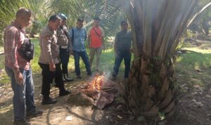Tak Beri Ruang Bandar dan Pengguna, Polsek Marbau Gerebek Dugaan Sarang Narkoba di Belungkut