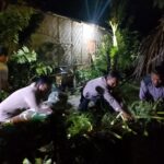 Satu Unit Rumah Mengalami Kerusakan Berat Terimpa Pohon Kelapa Sawit Dampak Angin Kencang Di Langkat