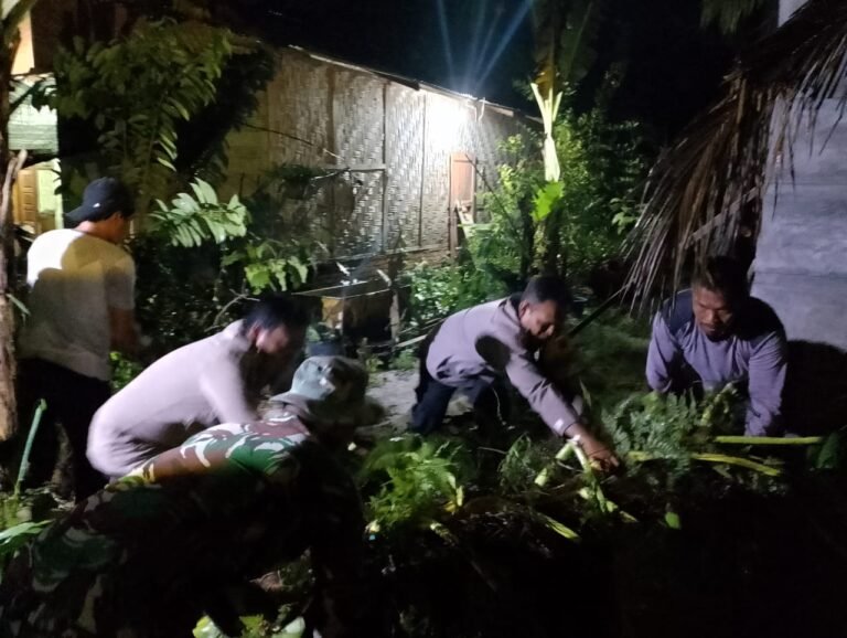 Satu Unit Rumah Mengalami Kerusakan Berat Terimpa Pohon Kelapa Sawit Dampak Angin Kencang Di Langkat Rumah