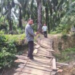Menembus Jalan Berlumpur dan Minim Sinyal, Kisah Kepala Unit BRI Dampingi UMKM Naik Kelas