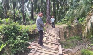 Menembus Jalan Berlumpur dan Minim Sinyal, Kisah Kepala Unit BRI Dampingi UMKM Naik Kelas