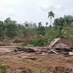 Pemkab Labura Sebut Menghormati Proses Hukum Terkait Eksekusi Areal Padang Halaban