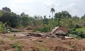 Pemkab Labura Sebut Menghormati Proses Hukum Terkait Eksekusi Areal Padang Halaban IMG20260128104409 768x432 1