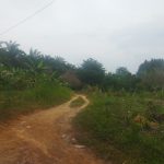 Solad DPO Narkoba Diduga Kembali Beraksi Edarkan Sabu, Warga Desa Gunung Selamat Resah