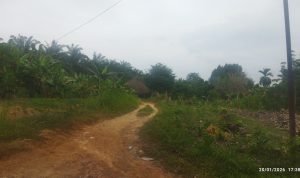 Solad DPO Narkoba Diduga Kembali Beraksi Edarkan Sabu, Warga Desa Gunung Selamat Resah IMG 20260120 173846