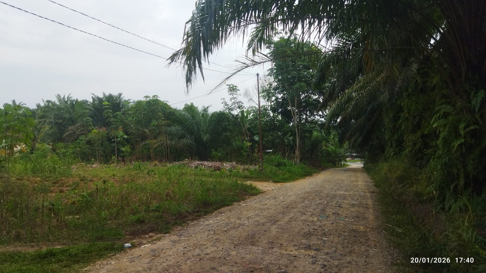 Solad DPO Narkoba Diduga Kembali Beraksi Edarkan Sabu, Warga Desa Gunung Selamat Resah 1 Desa Gunung Selamat