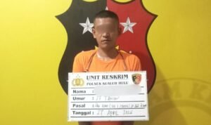 Polsek Kualuh Hulu
