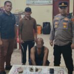 Satu Pelaku Diamankan Polsek Gebang Karena Tindak Pidana Peredaran Ganja