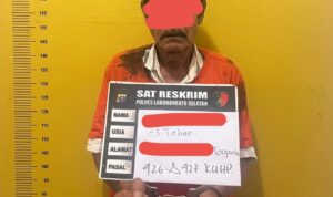 Berantas Judi Togel, Satreskrim Polres Labuhanbatu Selatan Tangkap Pria 63 Tahun di Torgamba