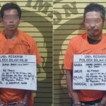 Polsek Bilah Hilir Ungkap Peredaran Ganja, Dua Pria Diamankan Bersama 8,10 Gram Barang Bukti