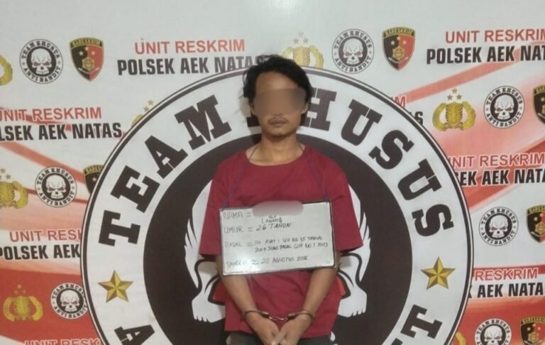 Polsek Aek Natas